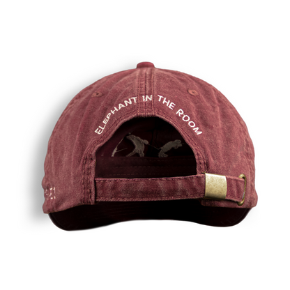 Watershed - Cap, available in 3 colors